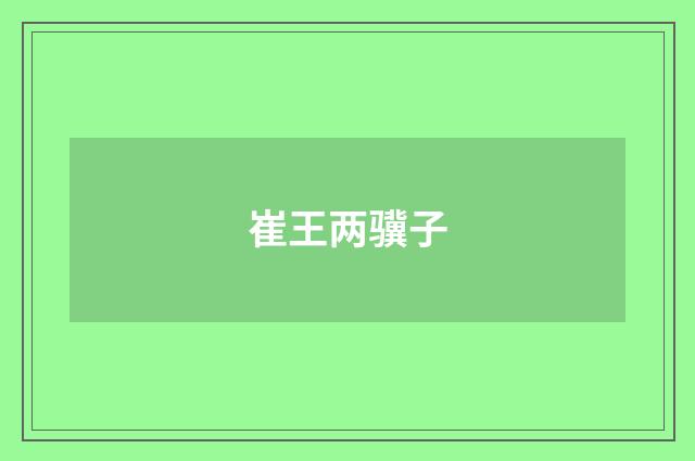 崔王两骥子