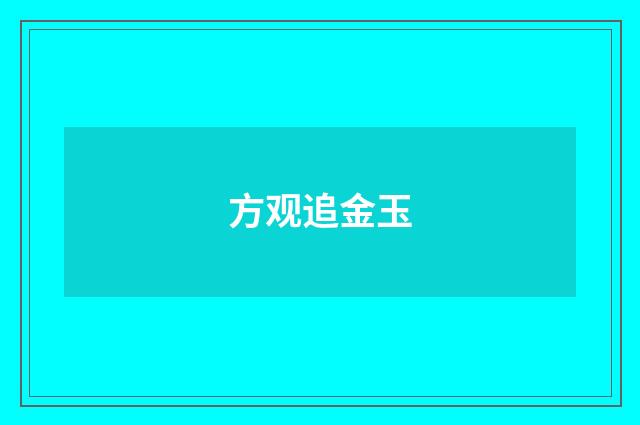 方观追金玉