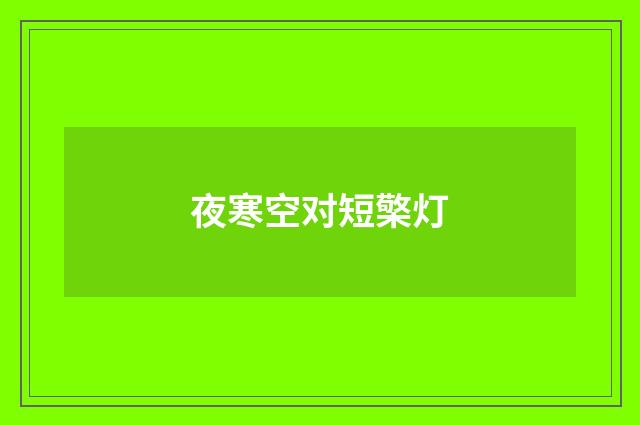 夜寒空对短檠灯