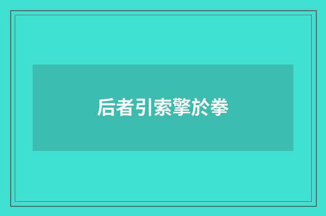 后者引索擎於拳