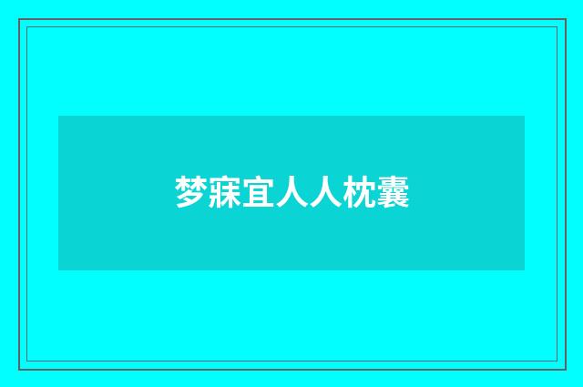 梦寐宜人人枕囊