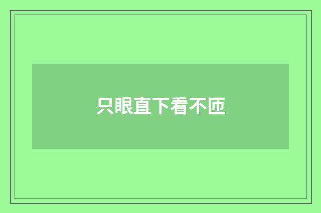 只眼直下看不匝