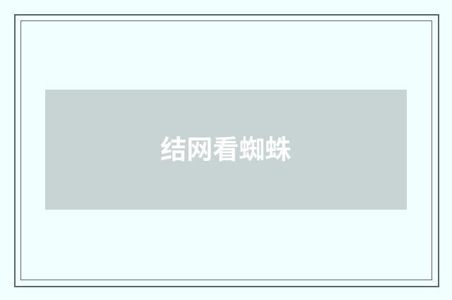 结网看蜘蛛