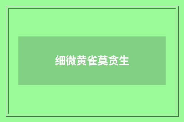 细微黄雀莫贪生