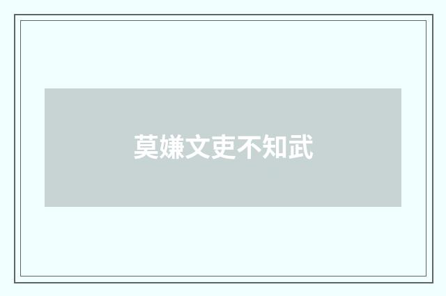 莫嫌文吏不知武
