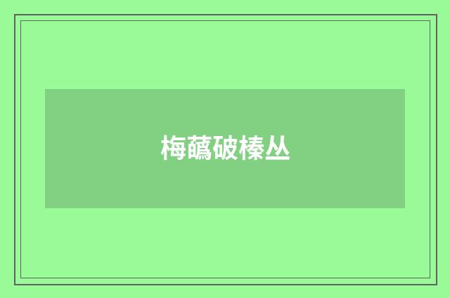 梅蘤破榛丛