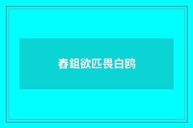 舂鉏欲匹畏白鸥