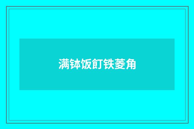 满钵饭飣铁菱角