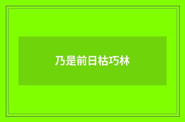 乃是前日枯巧林