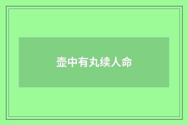 壶中有丸续人命