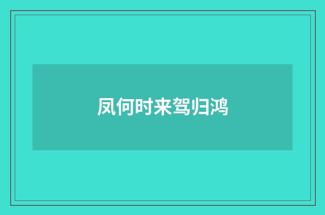 凤何时来驾归鸿
