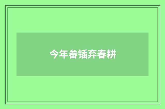 今年畚锸弃春耕