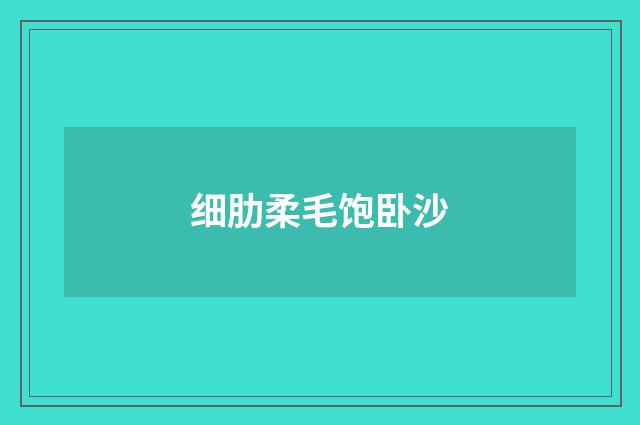 细肋柔毛饱卧沙