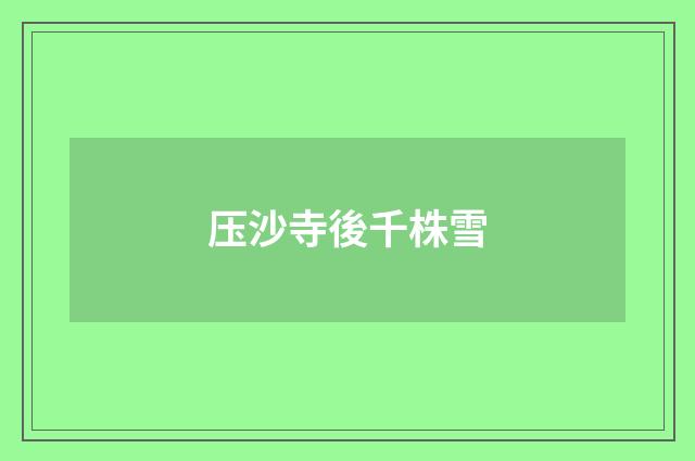 压沙寺後千株雪