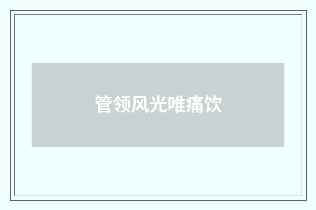 管领风光唯痛饮
