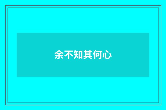 余不知其何心