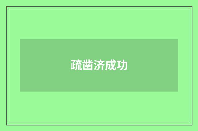疏凿济成功