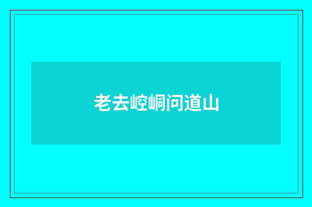 老去崆峒问道山