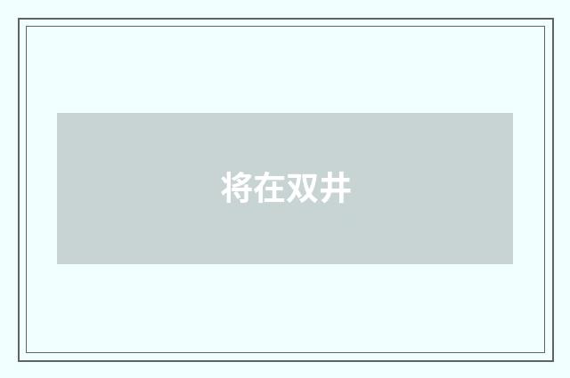 将在双井