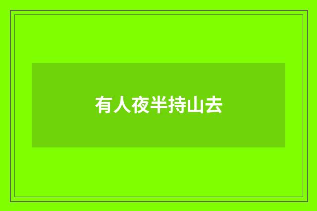 有人夜半持山去