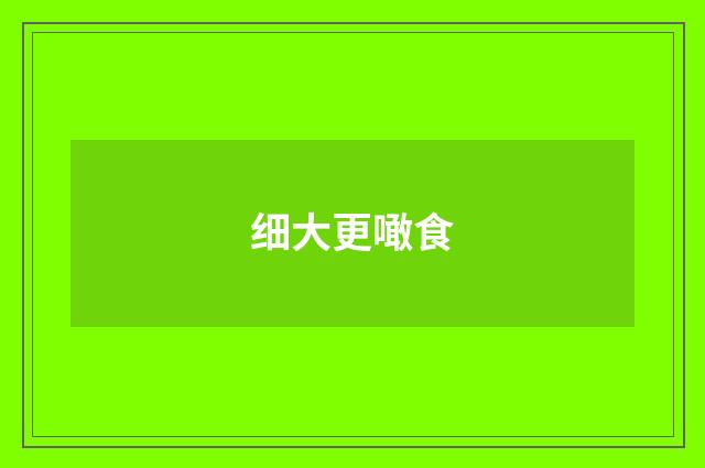 细大更噉食