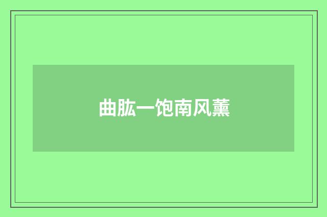 曲肱一饱南风薰