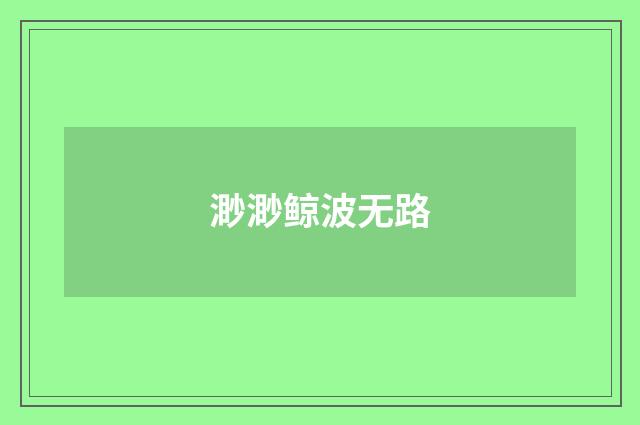 渺渺鲸波无路