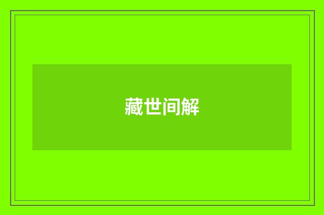 藏世间解