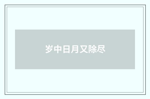 岁中日月又除尽