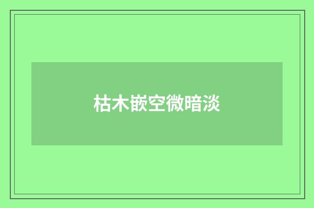 枯木嵌空微暗淡