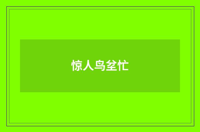 惊人鸟坌忙