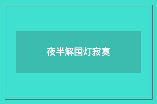 夜半解围灯寂寞