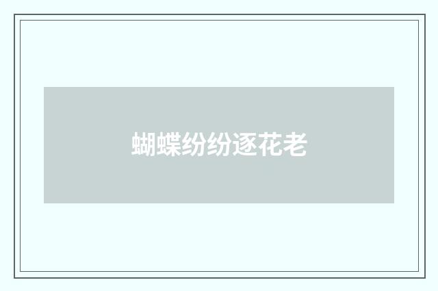 蝴蝶纷纷逐花老