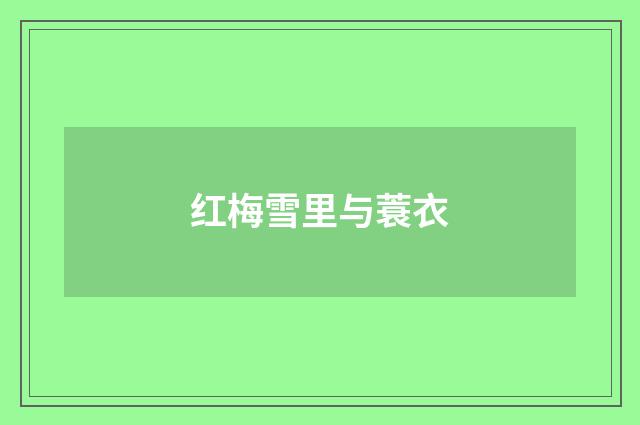 红梅雪里与蓑衣