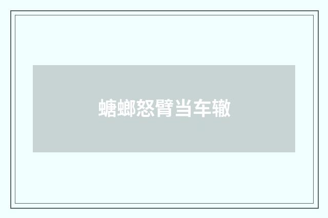 螗螂怒臂当车辙
