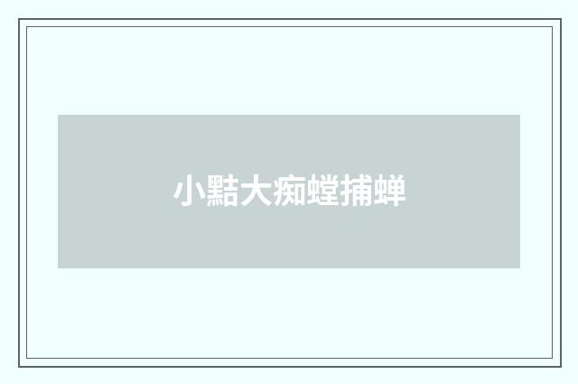 小黠大痴螳捕蝉