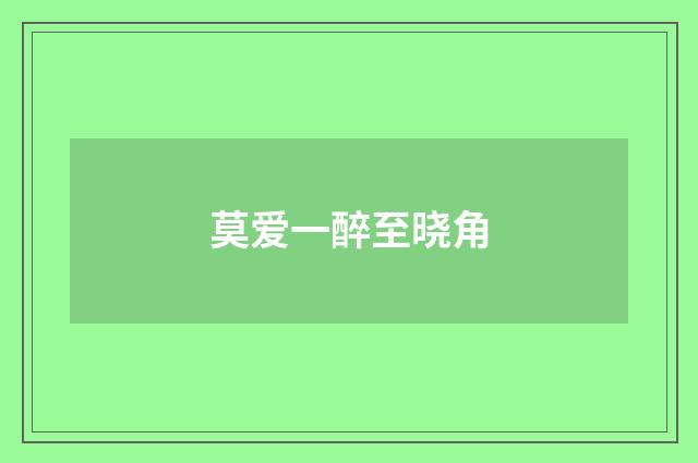 莫爱一醉至晓角