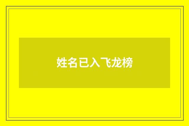 姓名已入飞龙榜