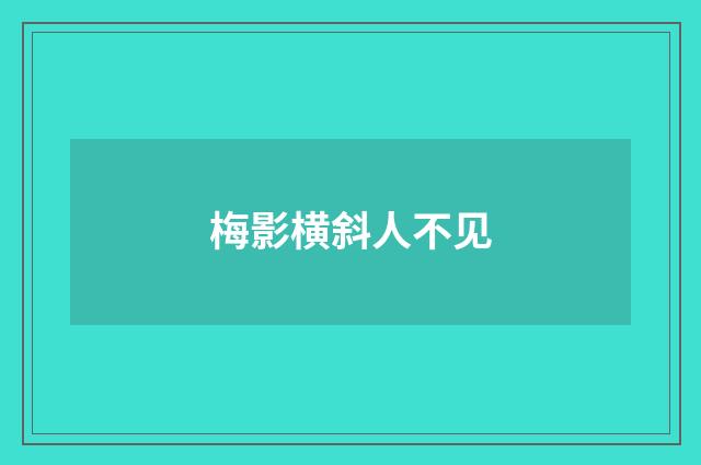 梅影横斜人不见
