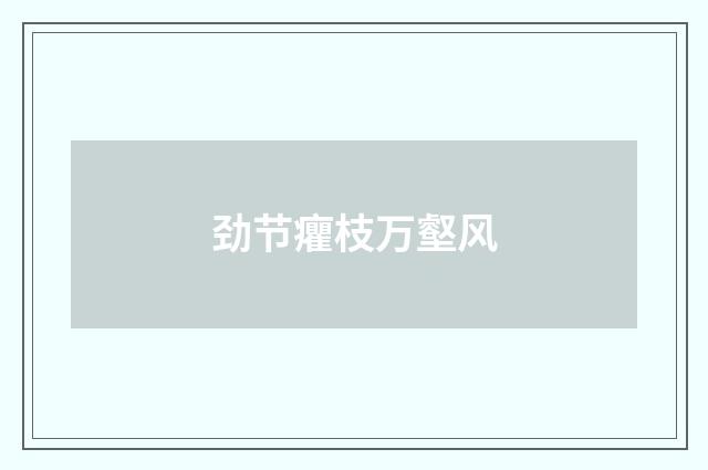 劲节癯枝万壑风