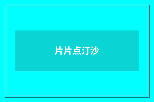 片片点汀沙