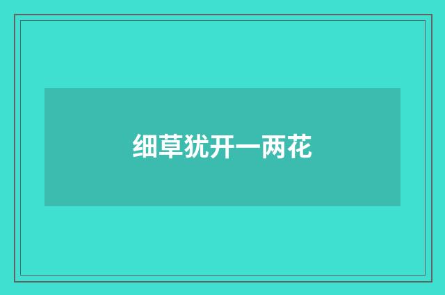 细草犹开一两花