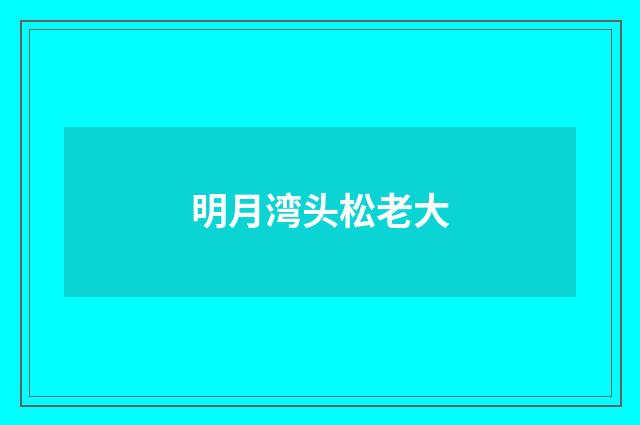 明月湾头松老大