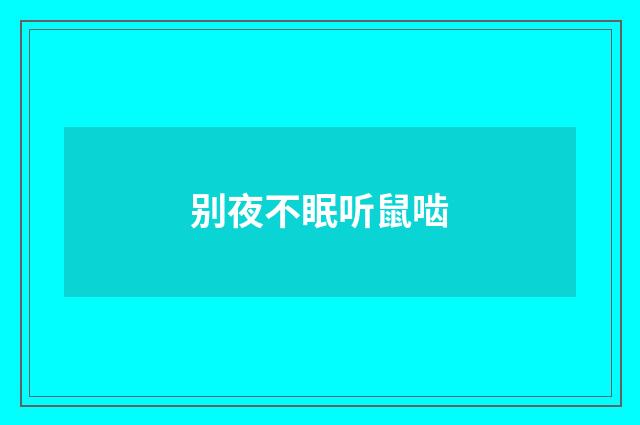 别夜不眠听鼠啮