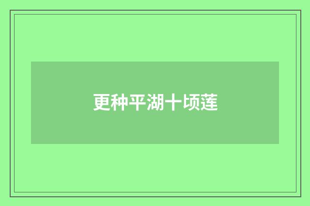 更种平湖十顷莲