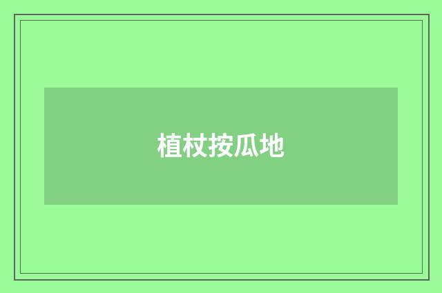 植杖按瓜地