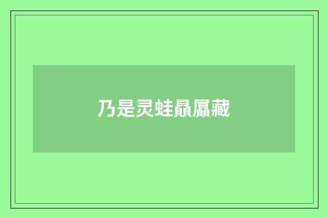 乃是灵蛙贔屭藏