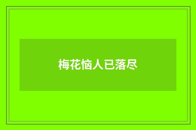 梅花恼人已落尽