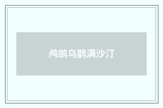 鸬鹚乌鹊满沙汀