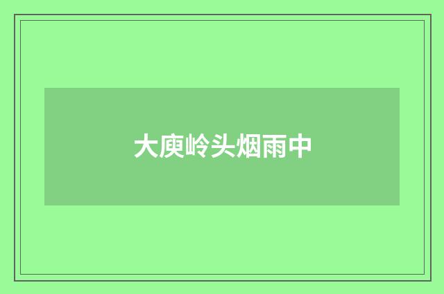 大庾岭头烟雨中